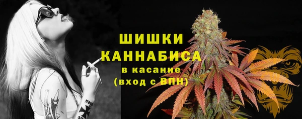 первитин Кукмор