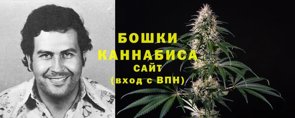 первитин Кукмор